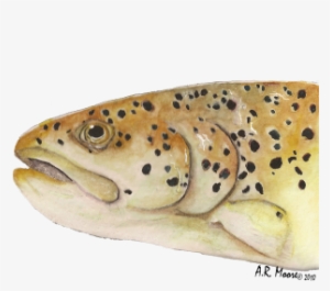 Watercolor - Watercolor Painting