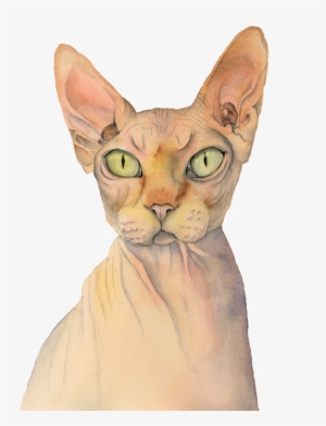 Click And Drag To Re-position The Image, If Desired - Sphynx Katzen-aquarell-porträt Badset