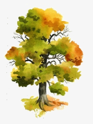 Kanclík - Arboles Pintados Con Acuarela