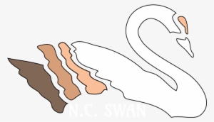 About - North Carolina