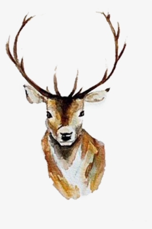 Watercolor Deer Antlers Png - Deer Watercolor