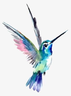 Report Abuse - Colibríes Dibujos Para Tatuajes