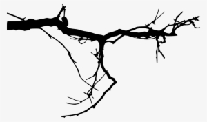 Free Png Simple Tree Branch Png Images Transparent - Tree Branches Transparent Background