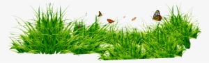 Grass Png Image, Green Grass Png Picture - Grass Png