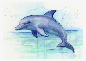 Dolphin Watercolor Onesie For Sale By Olga Shvartsur - Dolphin Art