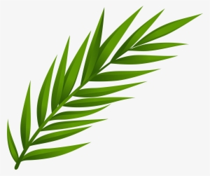 Leaf Png Clip Art