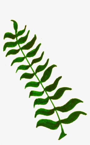 This Free Icons Png Design Of Calligraphic Illustration