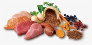 The Finest Natural Ingredients For Superior Nutrition - Natural Ingredients Dog Food