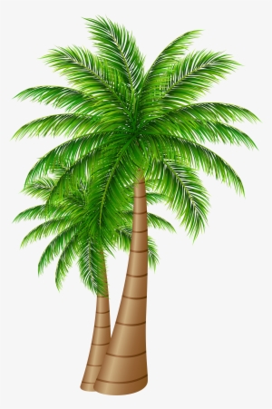 Palm Tree Clipart Transparent Png - Date Palm Tree Png