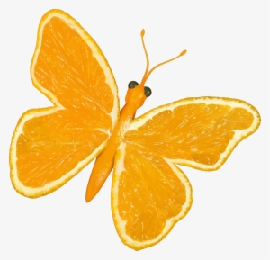 This Free Icons Png Design Of Citrus Fruit Butterfly