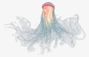 Large Jellyfish - Jelly Fish Png