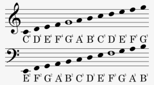 Sheet Music Notes Guide - Bass Clef