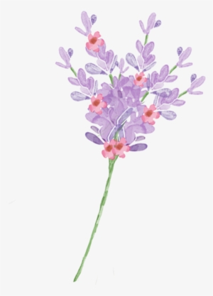 Mira & Graphic Watercolor & Swirls Example Image - Watercolor Painting