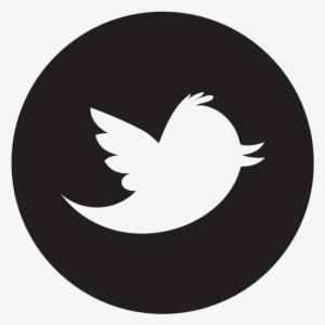 Twitter - Twitter Material Design Icon