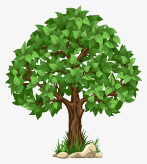 Transparent Tree Png Clipart Picture - Transparent Background Tree Clipart