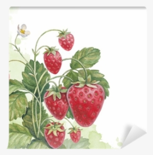 Les Trésors De Lily [m6793] Grand Plateau Fraisiers