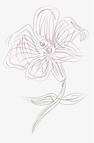 Graphic Freeuse Stock Painting Lilium Pattern Transprent - Drawing