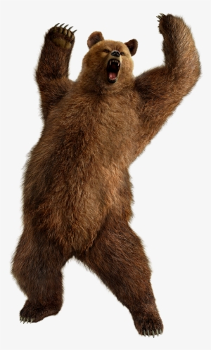 Full-body Cg Art Image - Bear Png