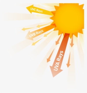 Top Five Questions On Skin Cancer - Ultraviolet Ray Clipart