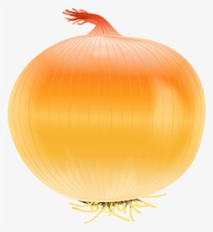 Onion - Clip Art Onion