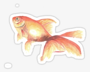 A Watercolor Goldfish Because Who Doesn't Need A Little - Goldfish