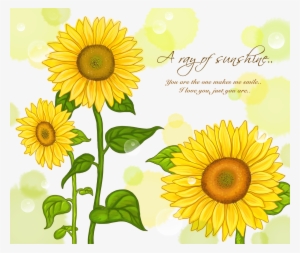 Sunflower Watercolor Png - Background For Sunflower Painting