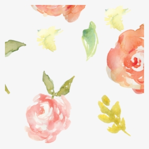 Coral Watercolor Png - Watercolor Painting