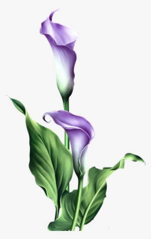 Purple Lily Easter Blessings Card