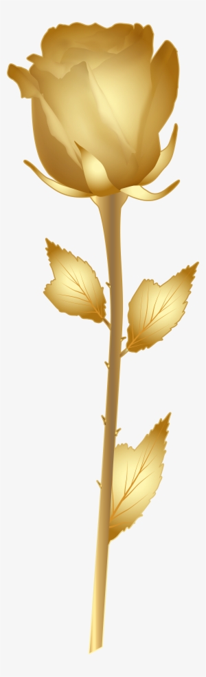 Beautiful Gold Rose Png Clip Art Image - Golden Flowers Clip Art