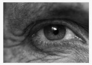 "nazar Initiative" Cannes Lions International Festival - Product