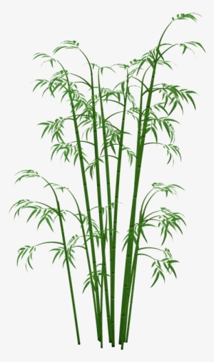 Bamboo Png Images Png Free - Bamboo Png