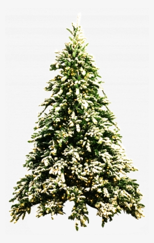 Christmas Tree Png By Dbszabo - Xmas Tree Png - 410x647 PNG Download ...