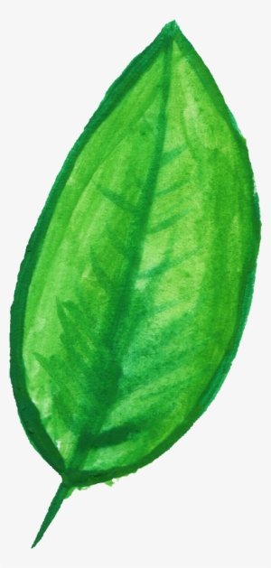 Svg Royalty Free Download Transparent Watercolours - Watermelon Watercolor Png