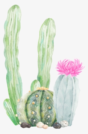 This Graphics Is Hand Painted Three Cactus Png Transparent - Cactus Png Transparent