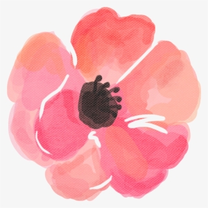 Load 4 More Imagesgrid View - Poppy