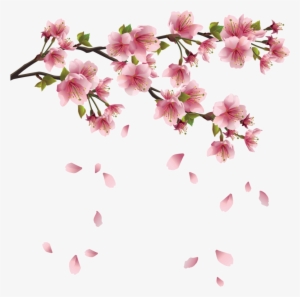Spring Free Png Image - Transparent Background Cherry Blossoms Png