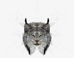 Animal - Drawing