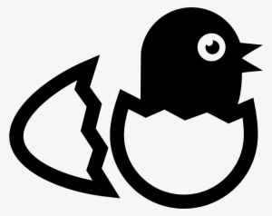 Bird In Broken Egg From Side View Comments - Se Um Ovo Se Rompe Por Uma Força Exterior