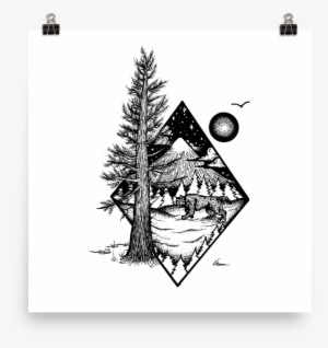 Pine And Mountain Lion