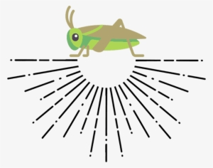 Fit Cricket - Cricket