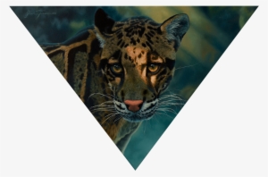 Cloud Of Suspicion - Artist