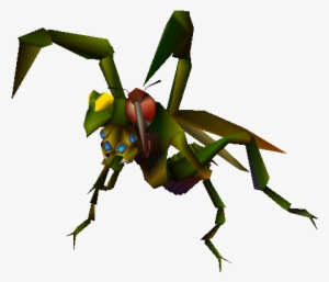 Kimara Bug - Insect Chimera