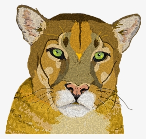 Mountain Lion 3 Copy - Cougar