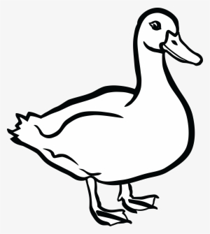 Duck Clipart Black And White - Clip Art Of Duck