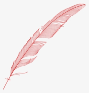 Cass - Hero Arts Clear Stamps 4"x6" Sheet-feathers (feathers)