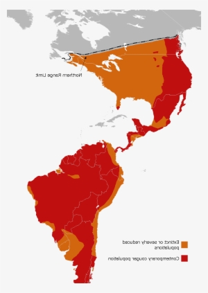 Gallery Description - Information And Communication Technologies Authority