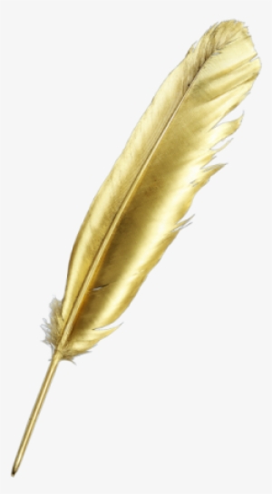 To Discuss Your Needs, Please Get In Touch, Or Call - Gold Feather Pen