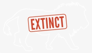 At The Current Rate, Lions Could Go Extinct By - Graphics
