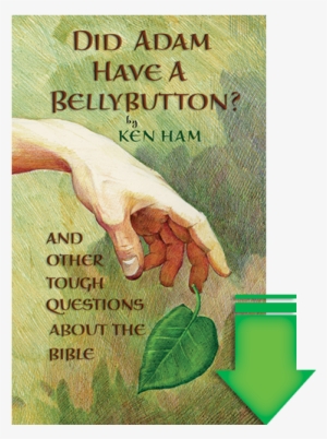 Did Adam Have A Bellybutton Ebook - Did Adam Have A Belly Button By Ken Ham