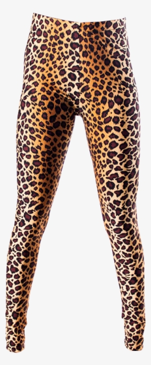Leopard Print Leggings Transparent Background - Tights Transparent Background